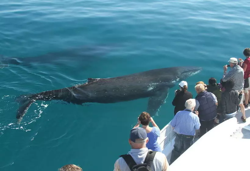 Jade Waters Luxury Apartments