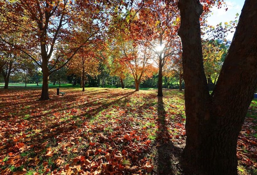 מוטל Cowra Motor Inn