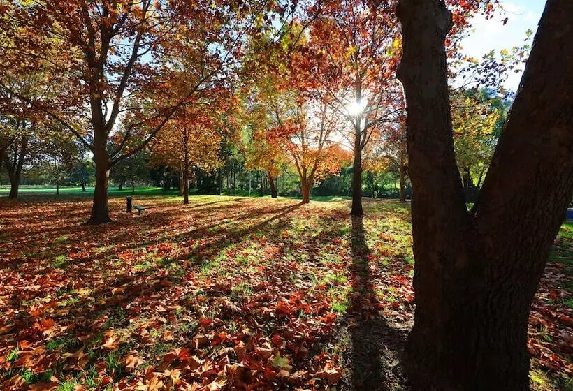 مُتل Cowra Motor Inn