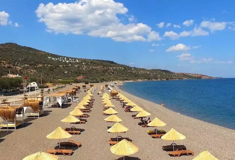 酒店 Etap Altınel Assos