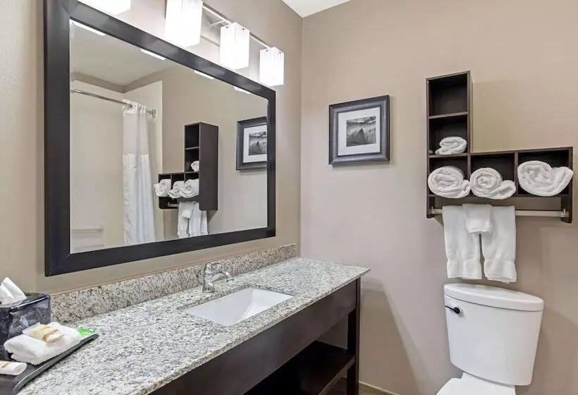 هتل La Quinta By Wyndham Paducah