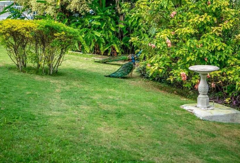 هتل Silver Creek Resort