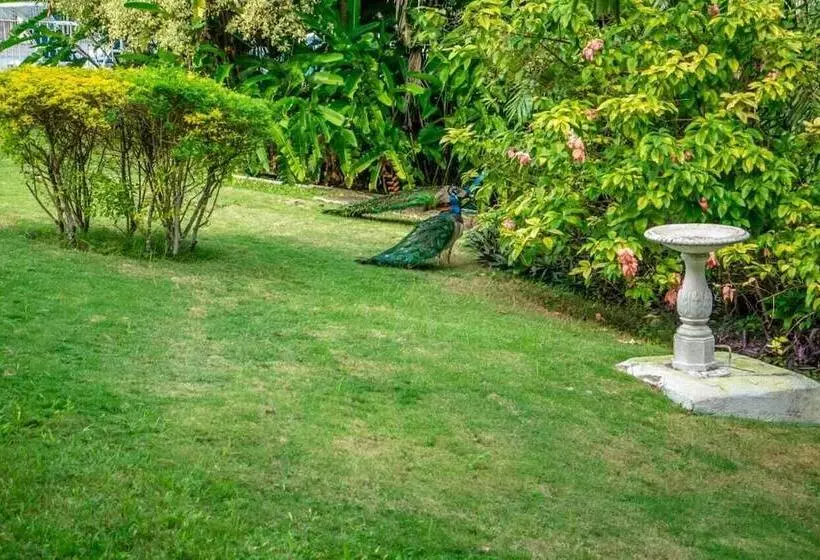 هتل Silver Creek Resort