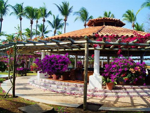 酒店 The Point at Contadora