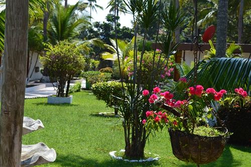 酒店 The Point at Contadora