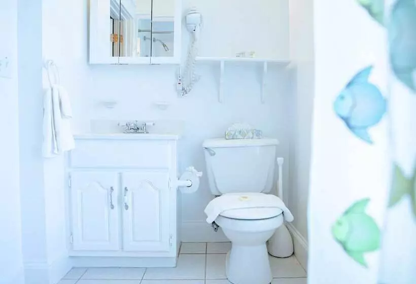 The Provincetown Hotel At Gabriel S