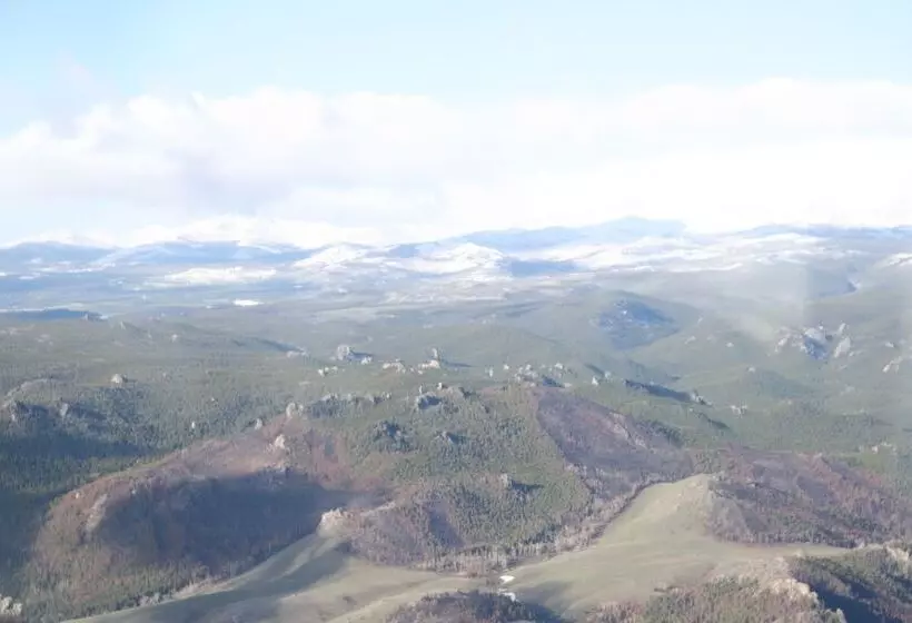 汽车旅馆  Buffalo Inn