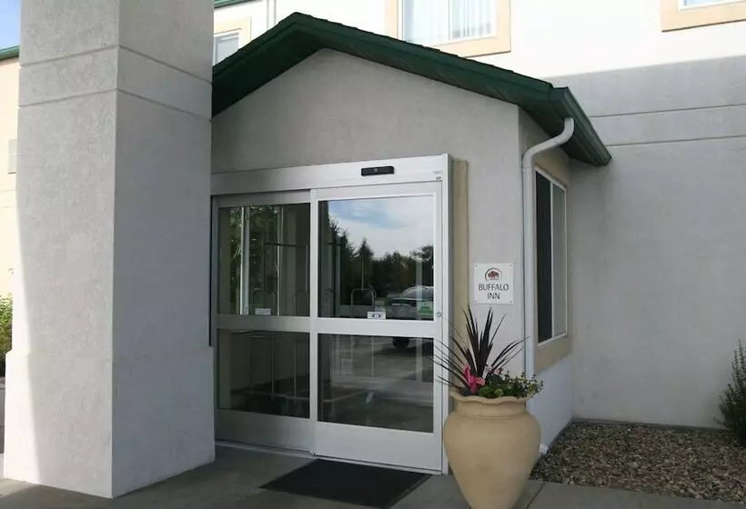 汽车旅馆  Buffalo Inn