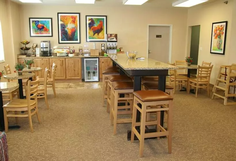 汽车旅馆  Buffalo Inn