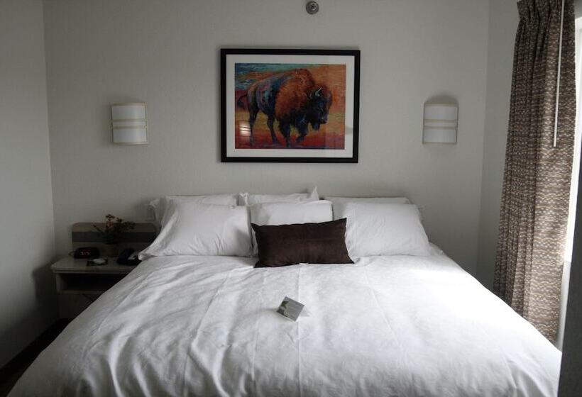 فندق على الطريق Buffalo Inn