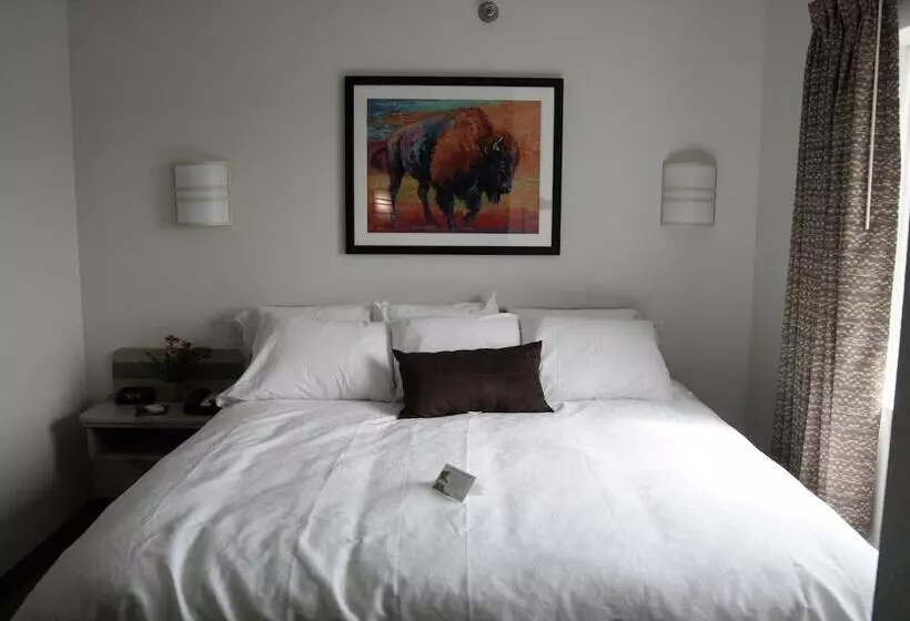 汽车旅馆  Buffalo Inn