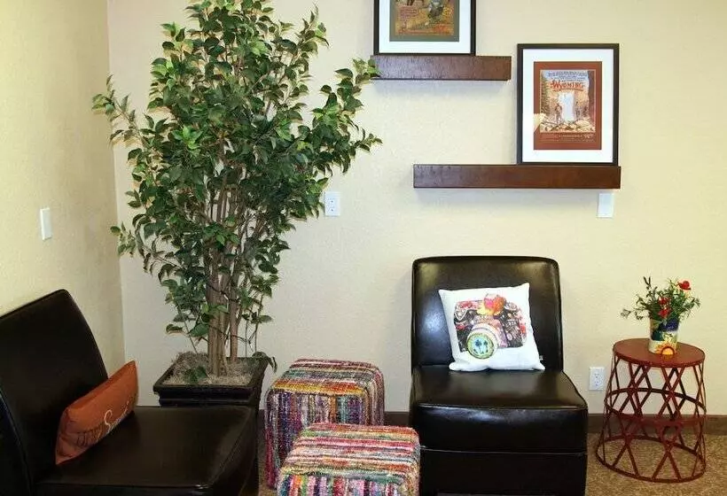 汽车旅馆  Buffalo Inn