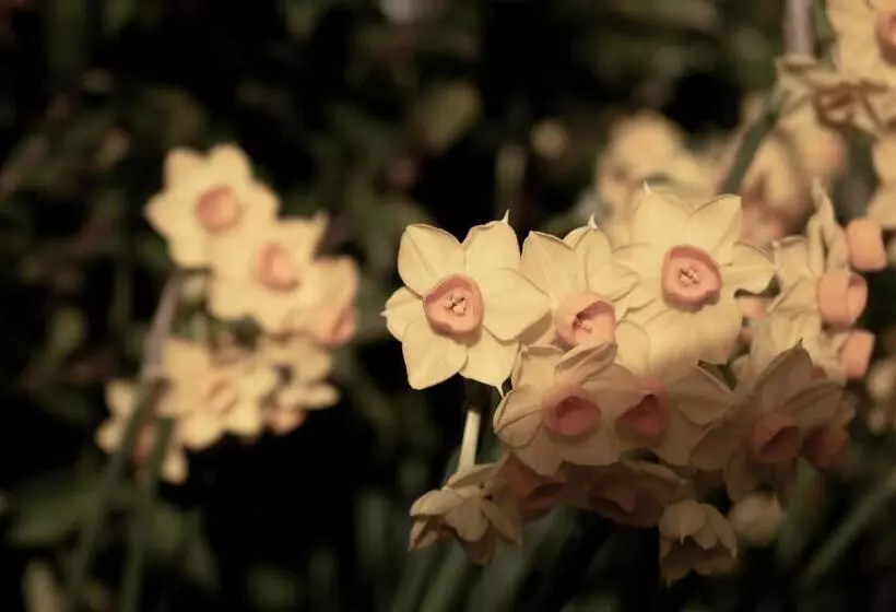 ペンション Walton House