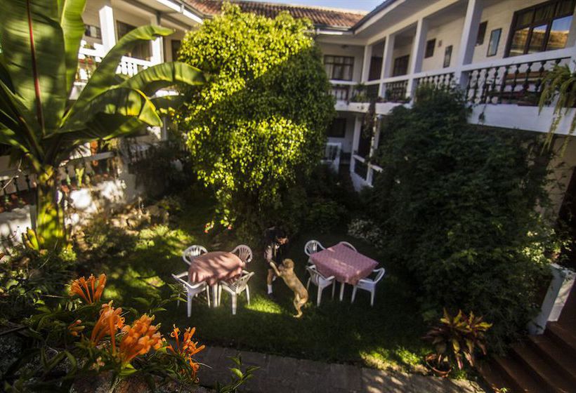Apartamentos Otorongo Cuenca Ecuador