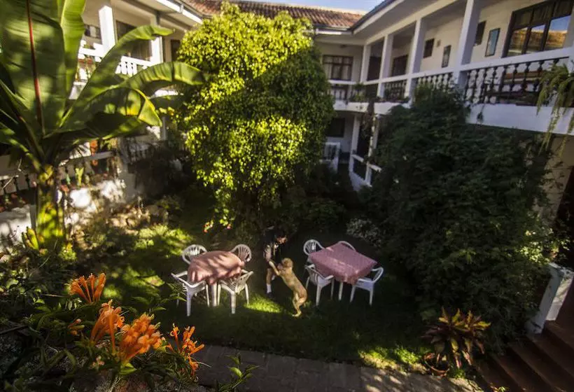 Apartamentos Otorongo Cuenca Ecuador