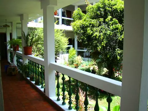 Apartamentos Otorongo Cuenca Ecuador