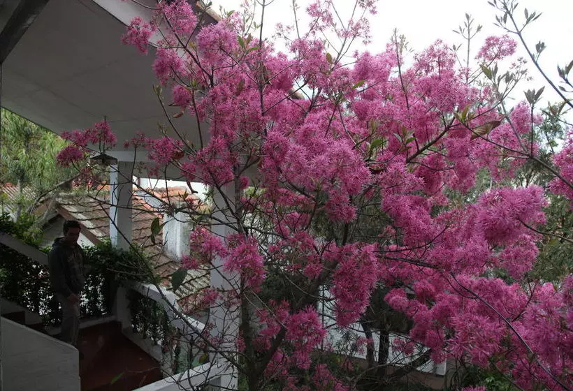 Apartamentos Otorongo Cuenca Ecuador
