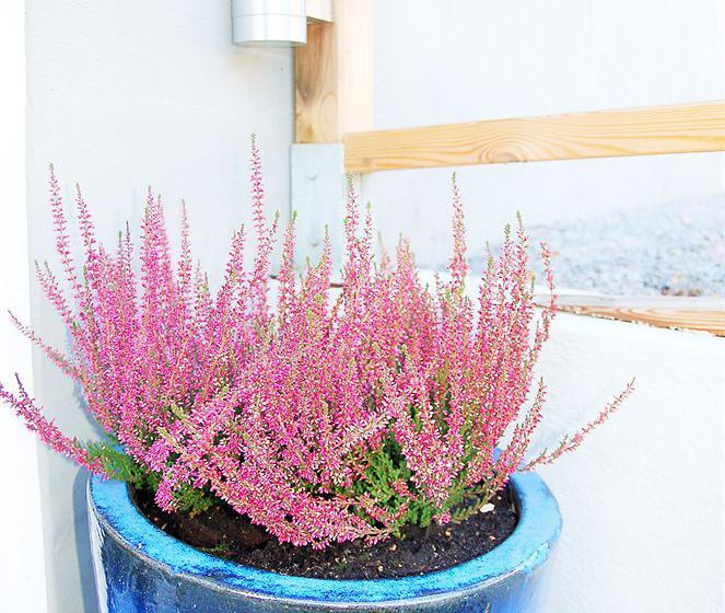 酒店 Bokloster Villal