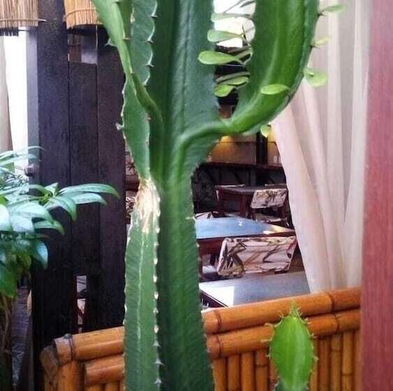 فندق فئة نجمة واحدة Pousada Aquarela Do Brasil