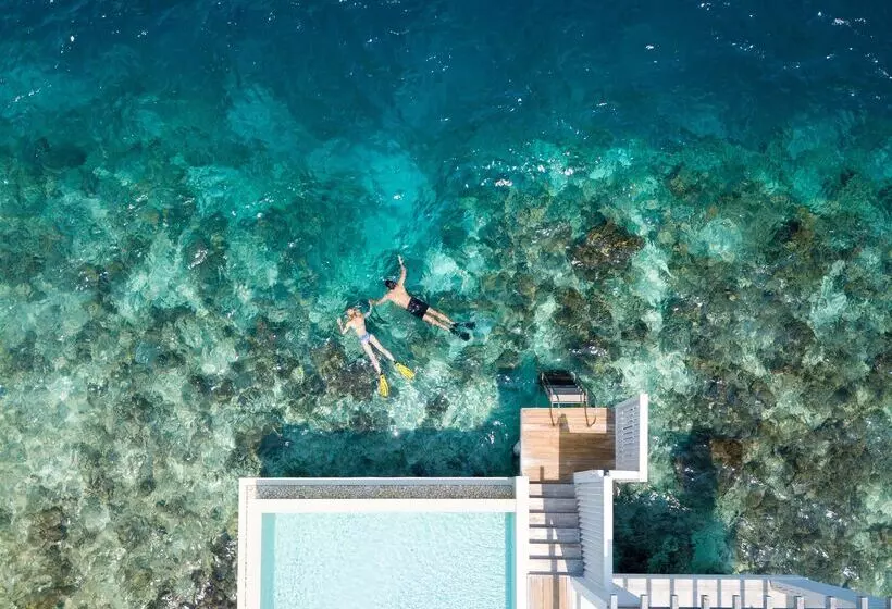 هتل Amilla Maldives