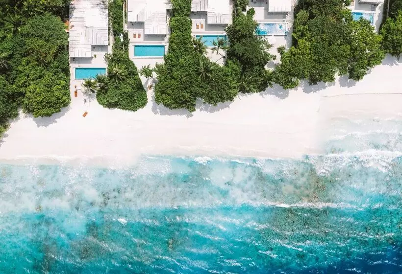 هتل Amilla Maldives