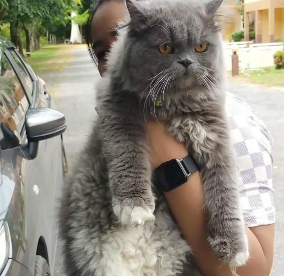 酒店 Family Resort Khao Yai