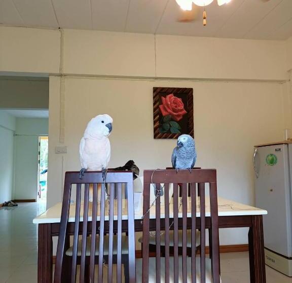 酒店 Family Resort Khao Yai