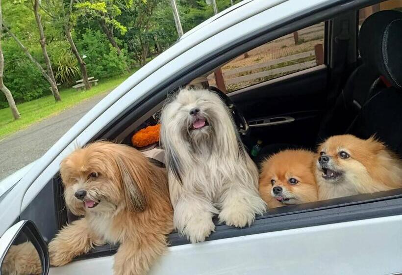 酒店 Family Resort Khao Yai