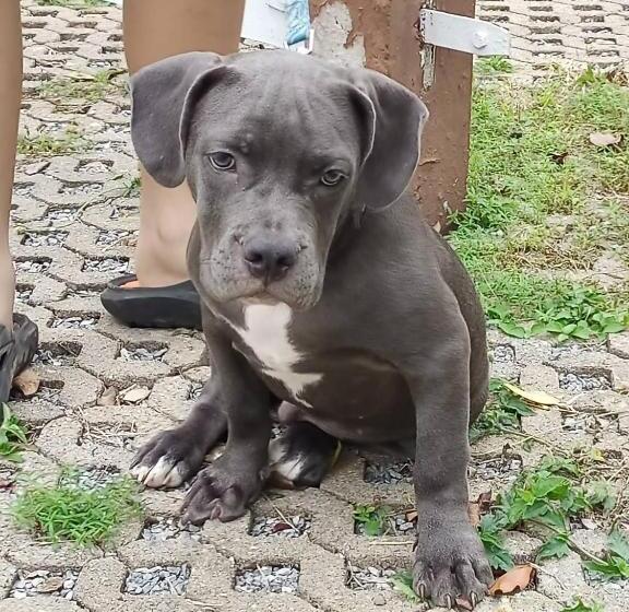 酒店 Family Resort Khao Yai