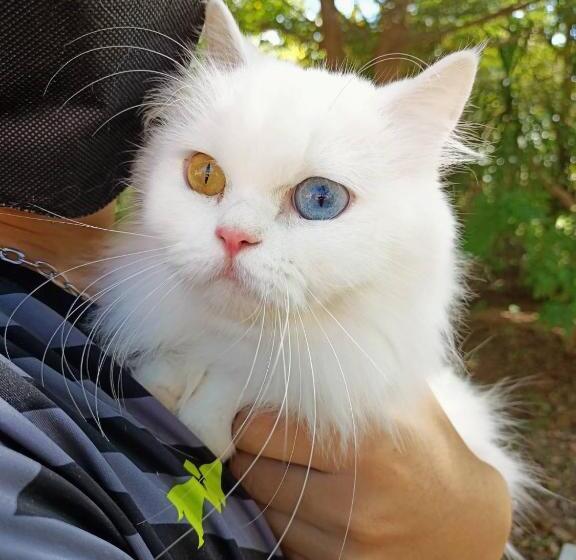 酒店 Family Resort Khao Yai