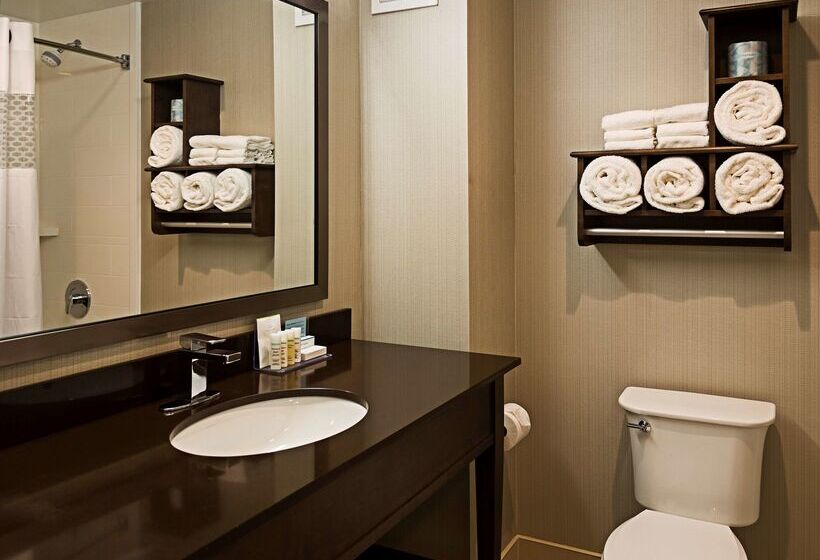 בית מלון כפרי Hampton Inn By Hilton Ottawa Airport, On, Cn