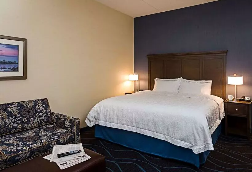 فندق Hampton Inn By Hilton Ottawa Airport, On, Cn