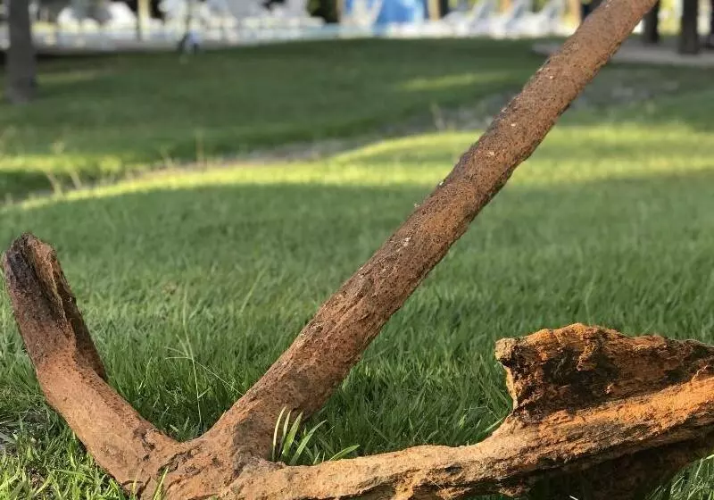 Porto Grande Hotel & Convention