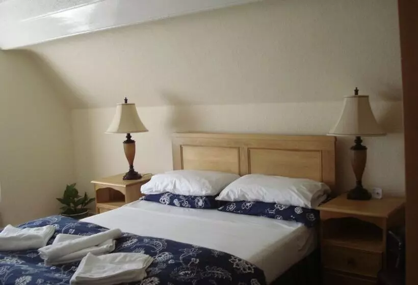 پانسیون Shrewsbury Lodge