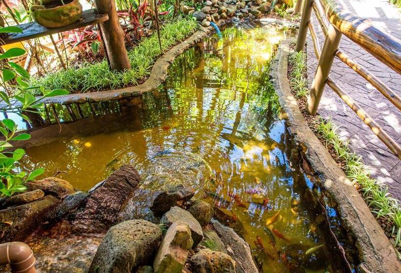 Отель Alemao Beach De Ilhabela