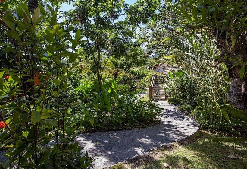 Отель Alemao Beach De Ilhabela