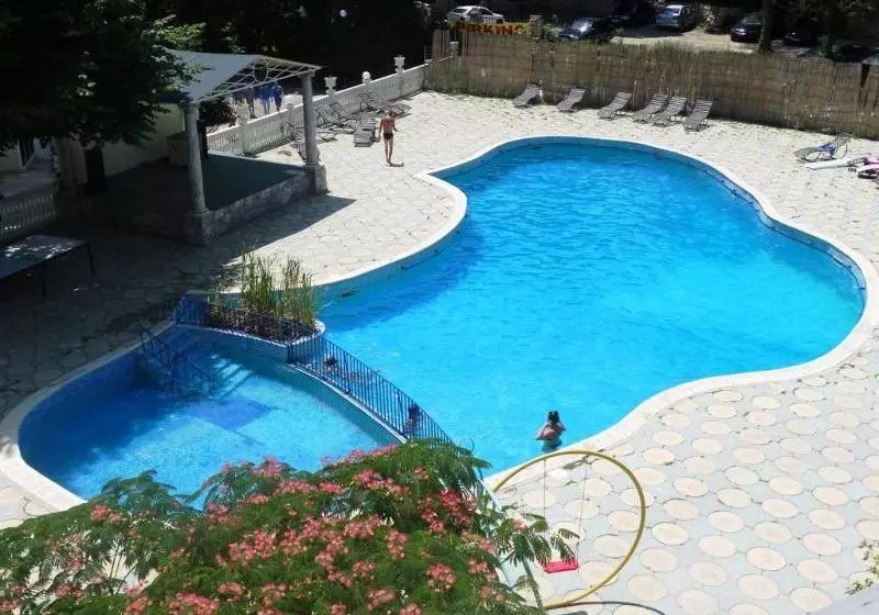 ホテル Dana Palace Park