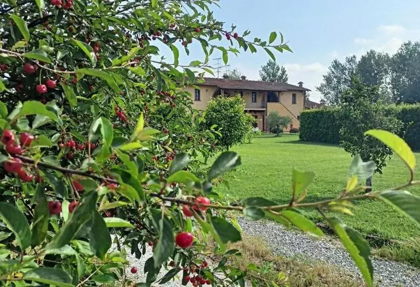 Отель Il Chiassetto Agriturismo No Kids