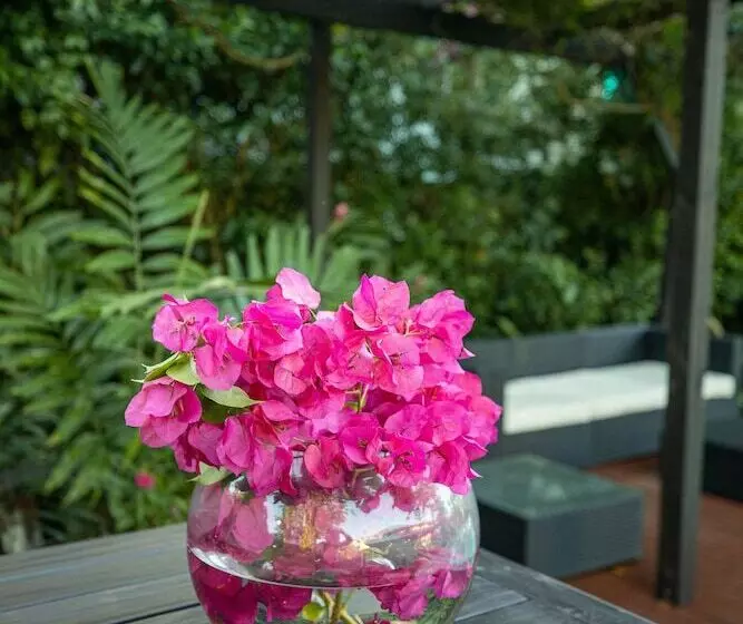 هتل The Samoan Outrigger