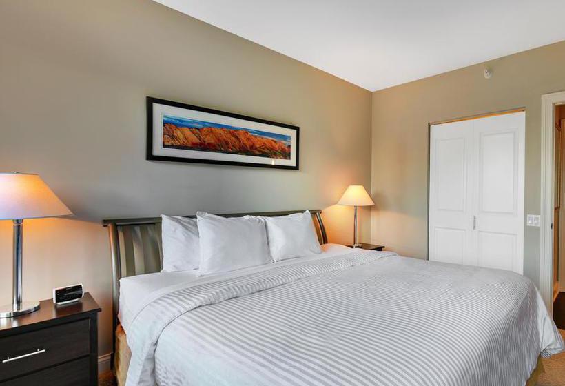 Millennium Park Plaza