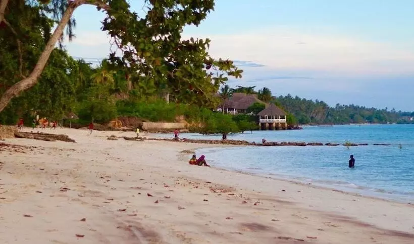 Hotelli Mangrove Lodge