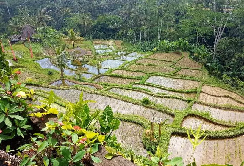 Adiwana Dara Ayu Villas