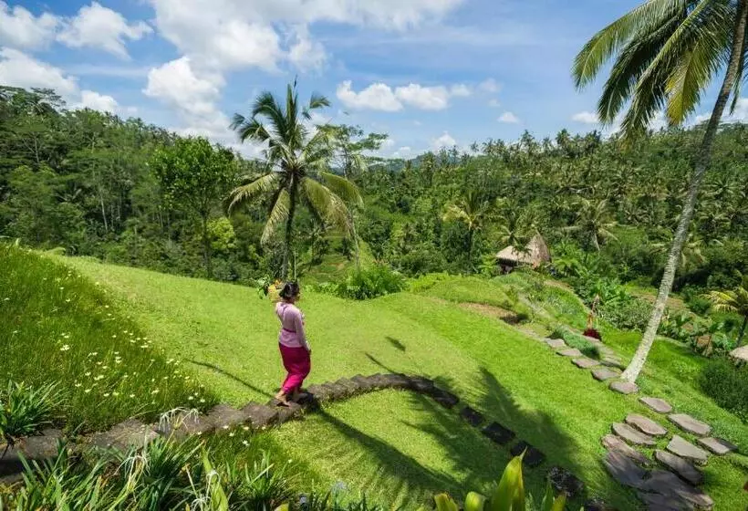 Adiwana Dara Ayu Villas