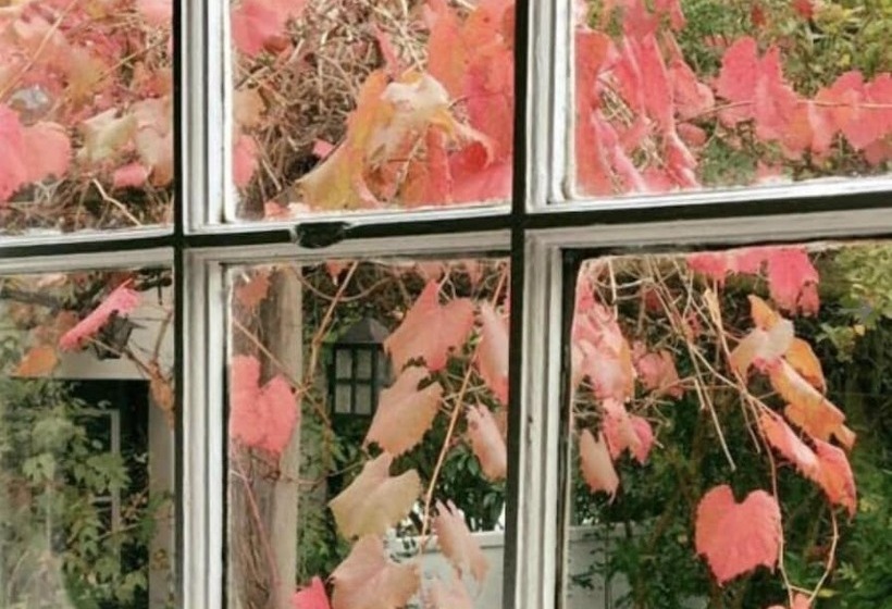 Отель Augusta De Mist Country House