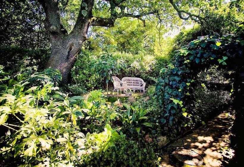 Отель Augusta De Mist Country House