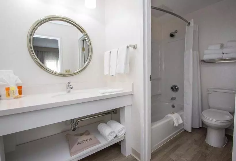 Cedar Point Hotel Breakers