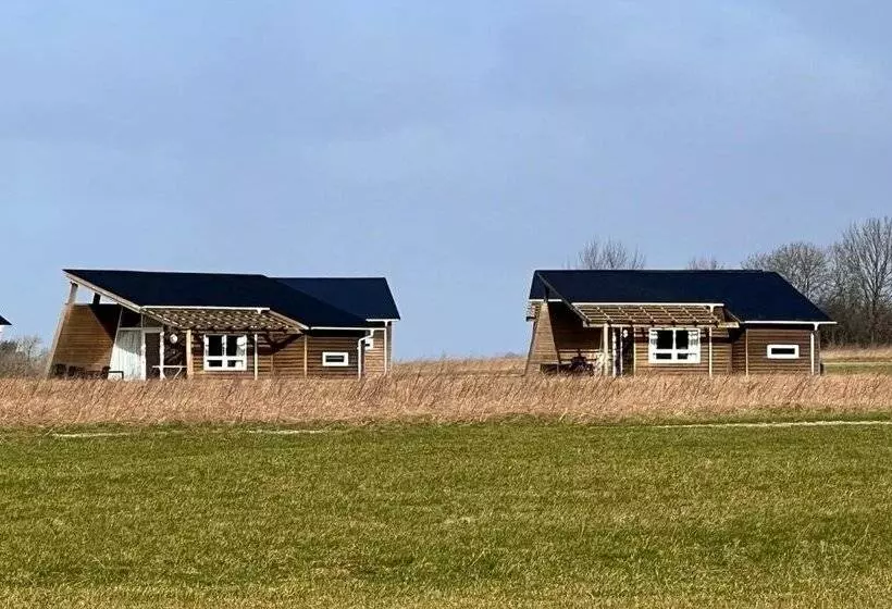 Hotelli Dancamps Kolding City