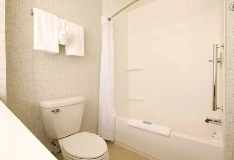 Hotel Holiday Inn Express & Suites Port Huron, An Ihg