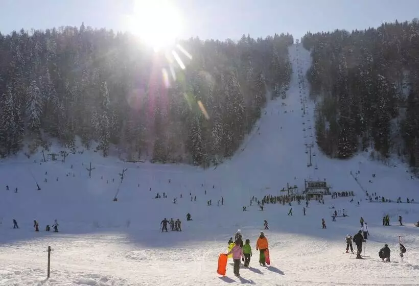 호텔 Hôtel De L Ermitage