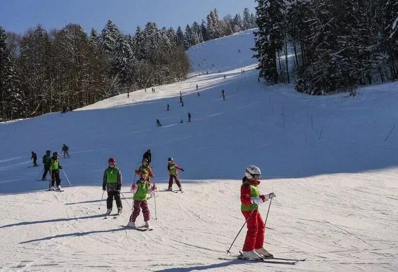 호텔 Hôtel De L Ermitage